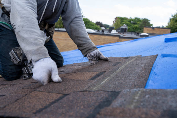 Best Commercial Roofing Services  in Kahuku, HI