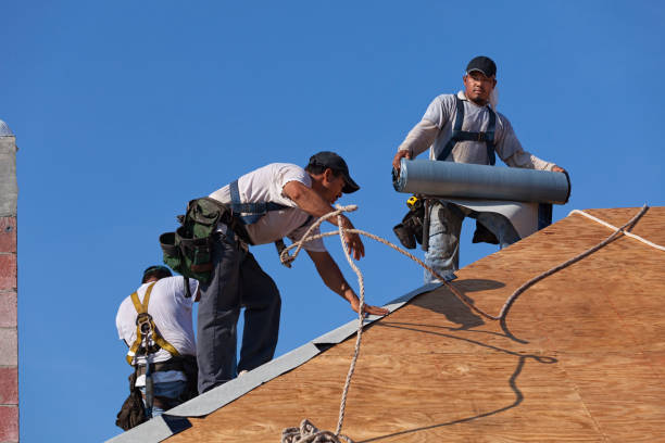 Best Roof Maintenance Services  in Kahuku, HI