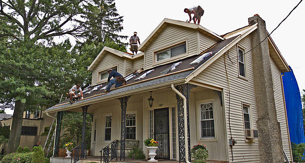 Best Metal Roofing Contractor  in Kahuku, HI